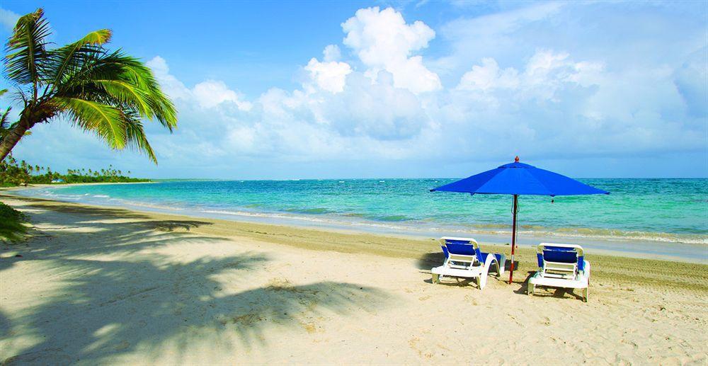 Coconut Bay Beach Resort & Spa All Inclusive Vieux Fort Zewnętrze zdjęcie